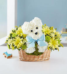 It’s a-DOG-a-Boy Davenport Florist - Same Day Flower Delivery - Flower Power 